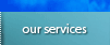 our services